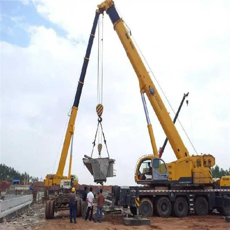 道孚小型吊机出租电话|厂房设备吊装方案|24小时服务覆盖